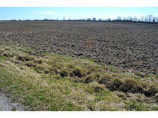 Property photo 29 - LAND AUCTION - 215+/- ACRES OFFERED IN 6 TRACTS IN VAN WERT COUNTY, OHIO